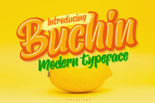 Buchin: A Playful Script Font for Editorial Design