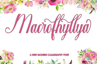 Macrofhyllya Script: A Modern Typeface for Branding