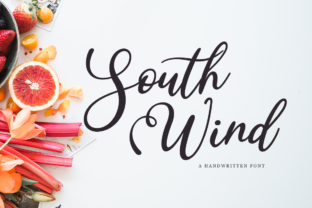 South Wind: A Designer’s Honest Review