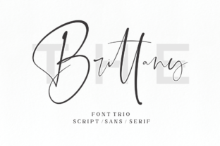 The Brittany: A Premium Script Font for Modern Branding