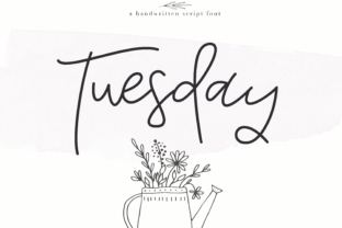 Tuesday Font: A Breezy Typeface for Modern Branding